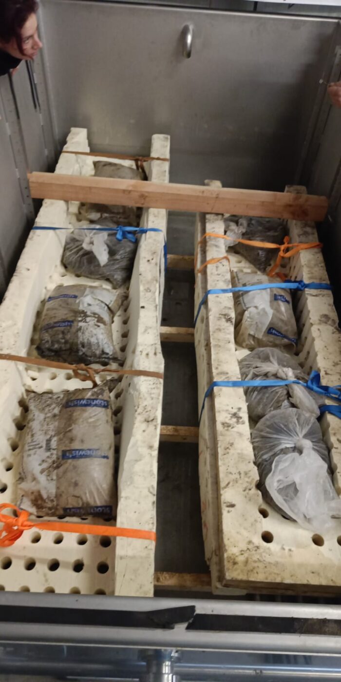 Het eerste stuk van de boot in de tank