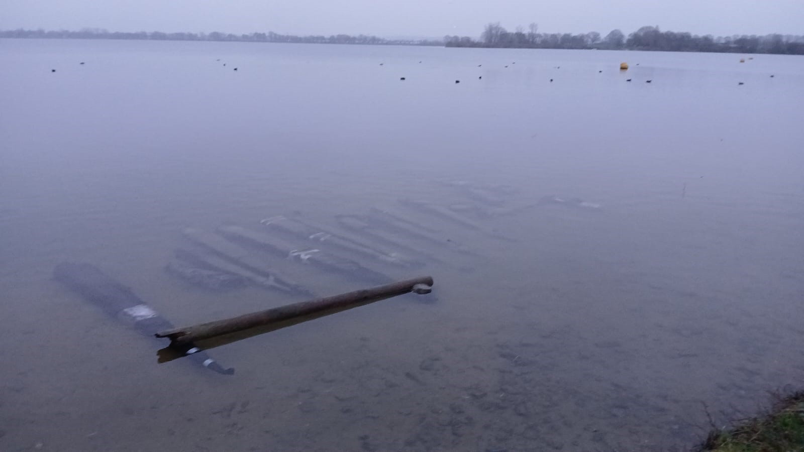 Houten palen in het water
